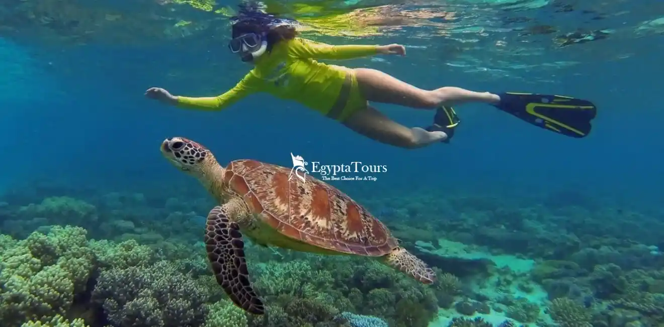 Best Places For Water Sports in Egypt 9 Marsa- Alam -Snorkeling -Tours