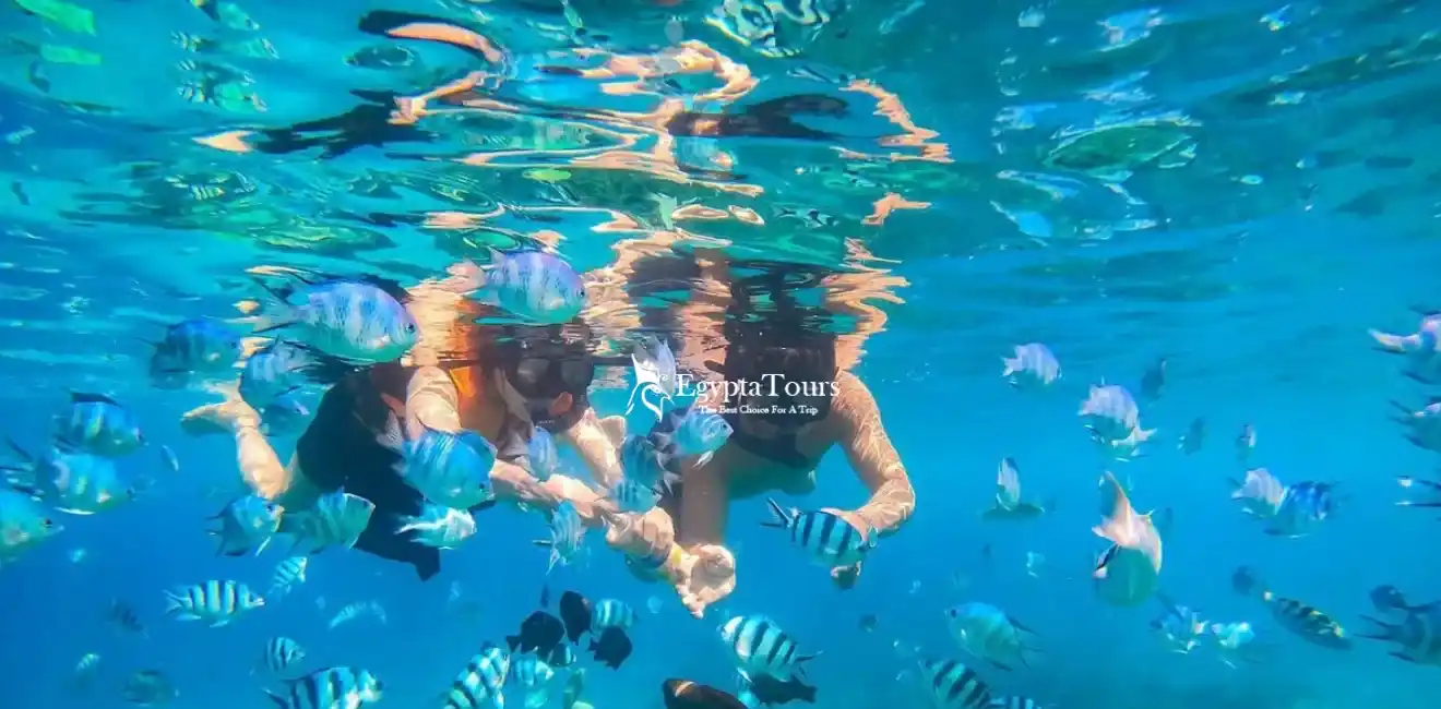 Best Places For Water Sports in Egypt 3 Sharm -El -Sheikh -Snorkeling -Diving