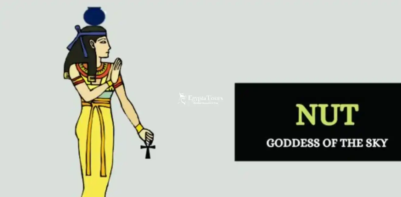 The- Goddess -of -the -Sky -Nut