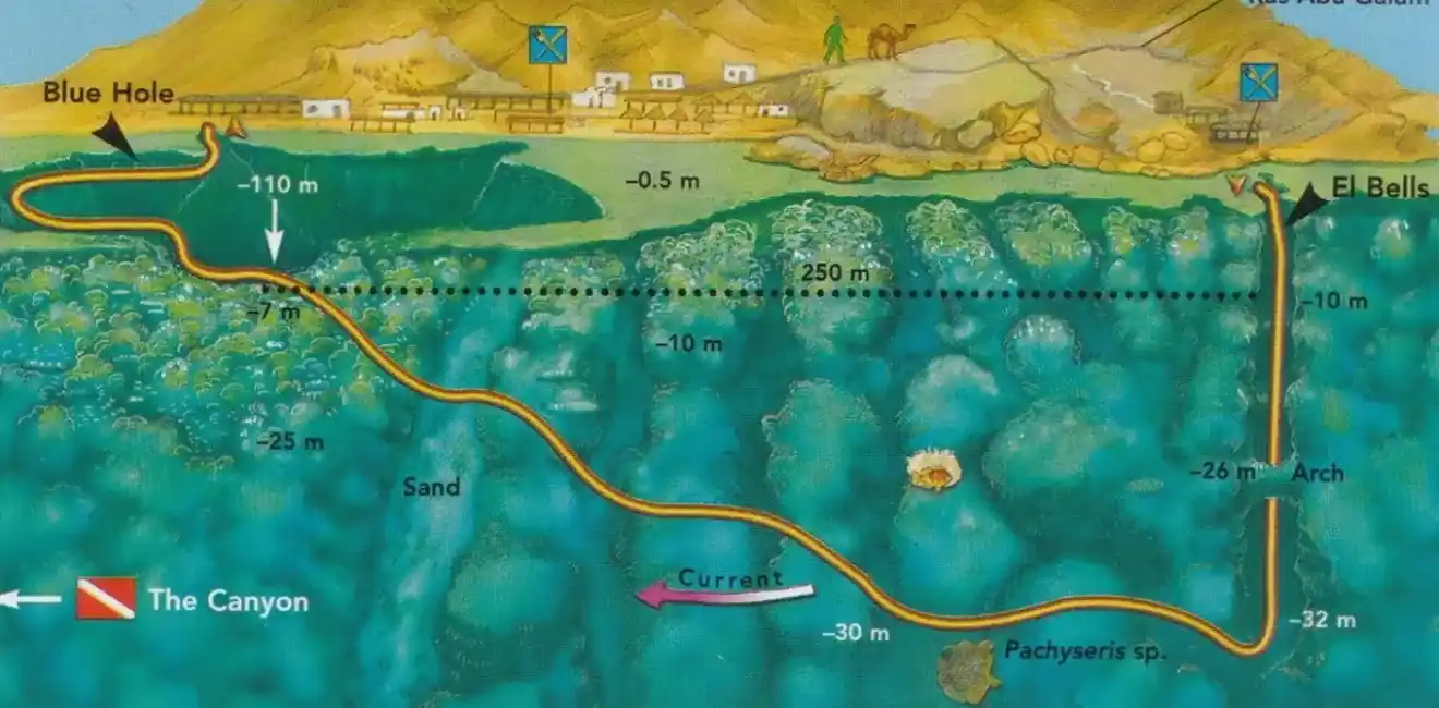 The- Geography -and -Natural -Features -of -the -Blue- Hole (Red- Sea)