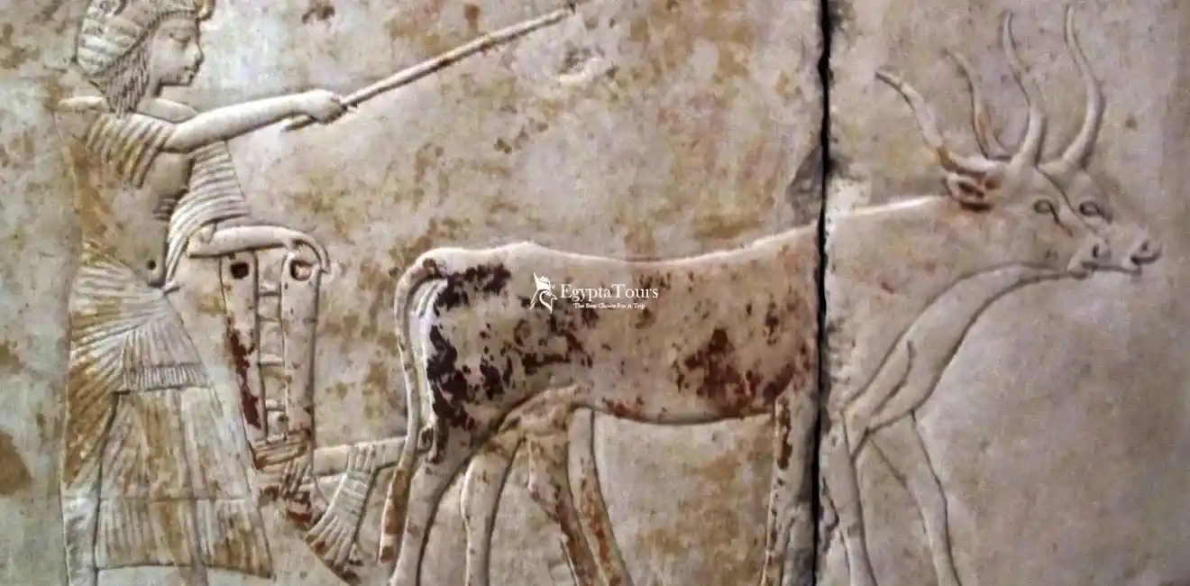 King -Horemheb -The -Last- Pharaoh -of- the -Eighteenth- Dynasty