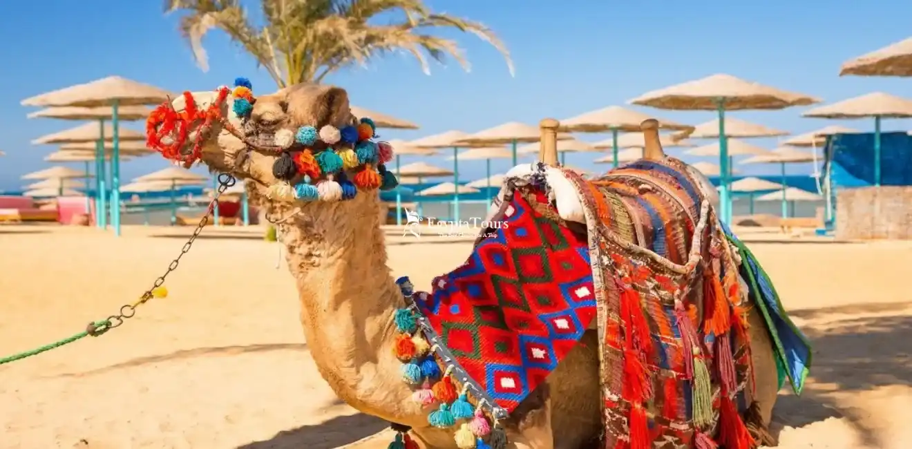 Weather In Egypt In Spring April May 3 Weather -In -Egypt -In -Spring- April- May-Sharm- El- Sheikh- in- April