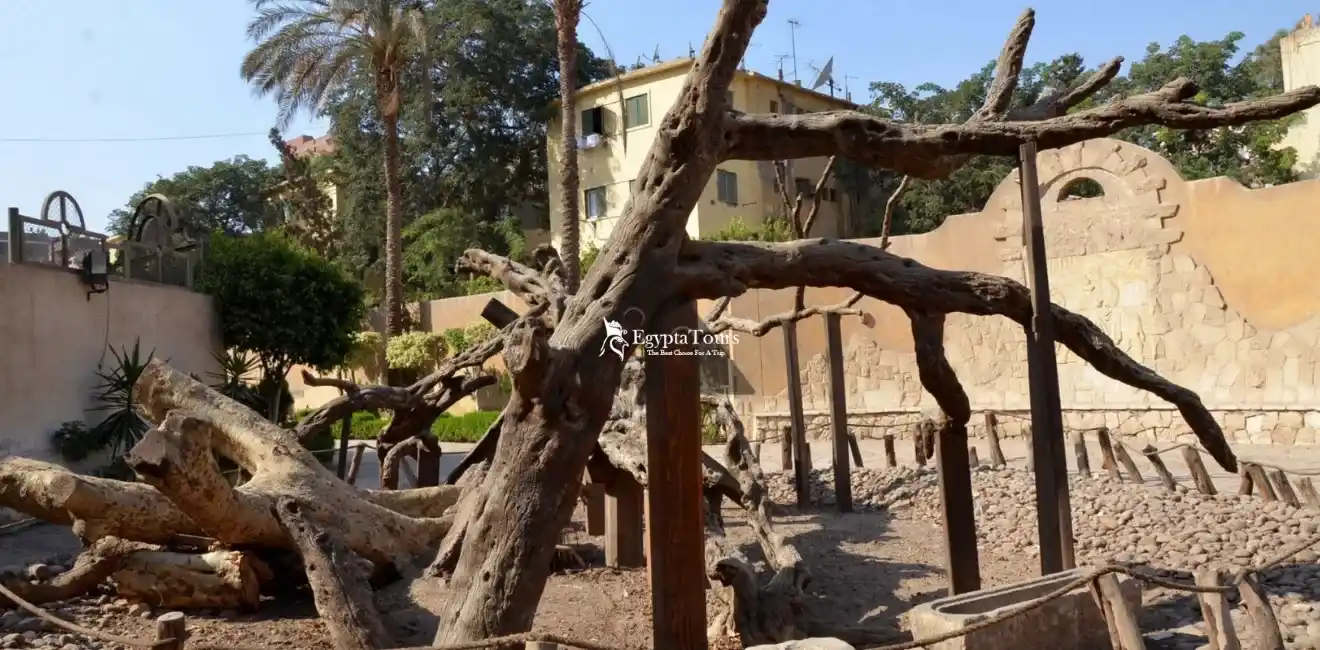 11-Days-Magical-Tour- to-The-Holy-Family-In-Egypt-Trip-to-El-Matariya-and-Zeitoun- Church